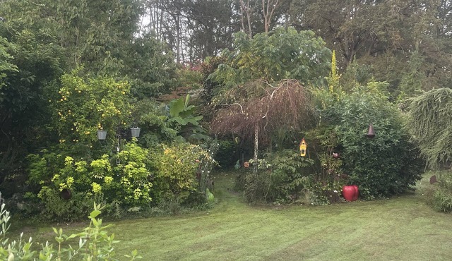 Gîte Entre Seine et Foret