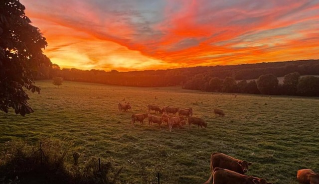 Gîte et Chalet de Maurevert