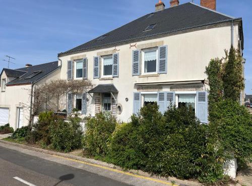 Gîte familial avec terrasse et vue sur la Loire - FR-1-590-430