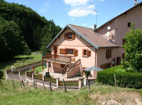 Gîte familial avec piscine, idéal pour randonnées et pêche, proche Gérardmer et crêtes vosgiennes - FR-1-589-238