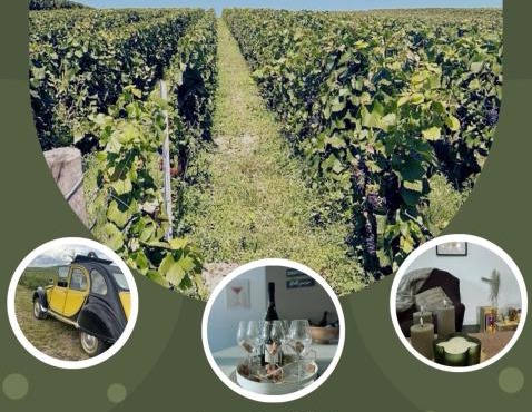 Gîte familial dans le vignoble champenois