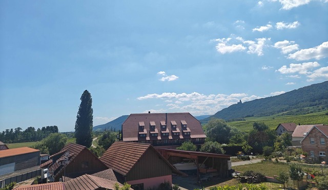 Gîte FAMILLE 3* for 2/4/6 people (4 adults + possibility 2 children)