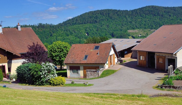 Gîte Dans Ferme Équestre
