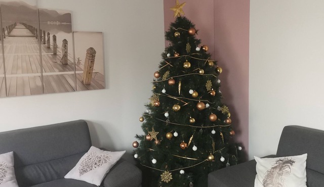 Gîte Grandeur Nature à Saint-Aignan - 12 couchages à 2.5 km du zoo de Beauval