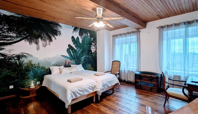 Gîte historique et moderne, capacité flexible - FR-1-585-170