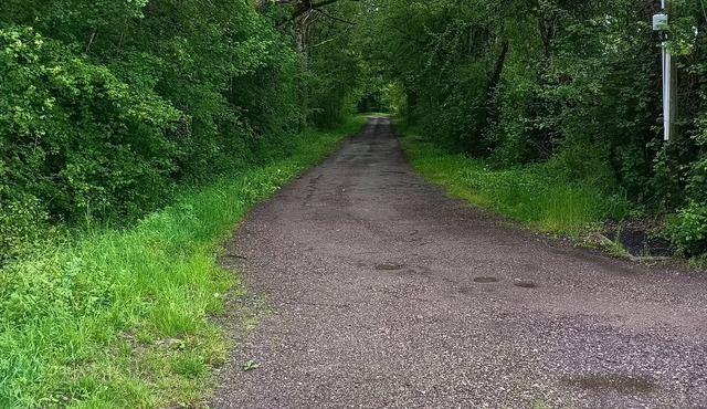 Gîte Indépendant Pouvant Accueillir Jusqu'à 4 Personnes, Situé Dans une Forêt