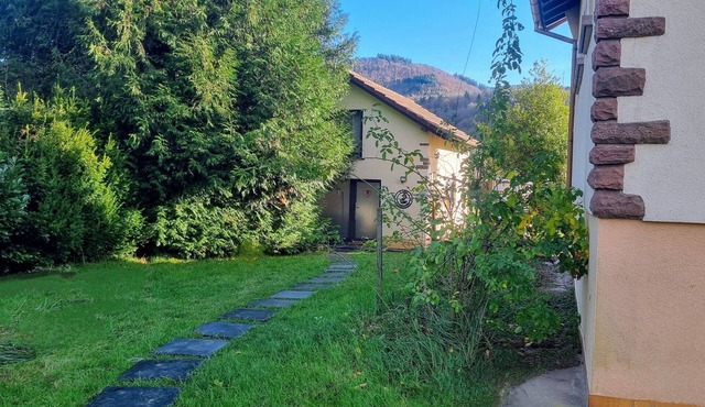 Gîte l'Abri des Renards d'Alsace - all comforts - pets welcome