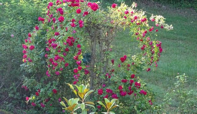 Gîte la clef de voûte améthyste