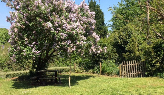 Gîte la Queuterie à Maranville