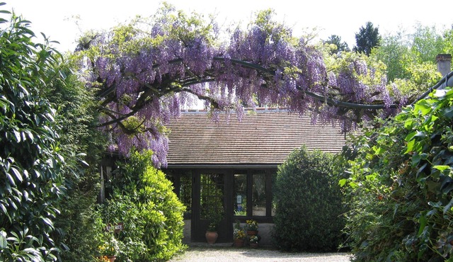 Gîte La Tanière du Goupil Sologne 2 to 4 persons