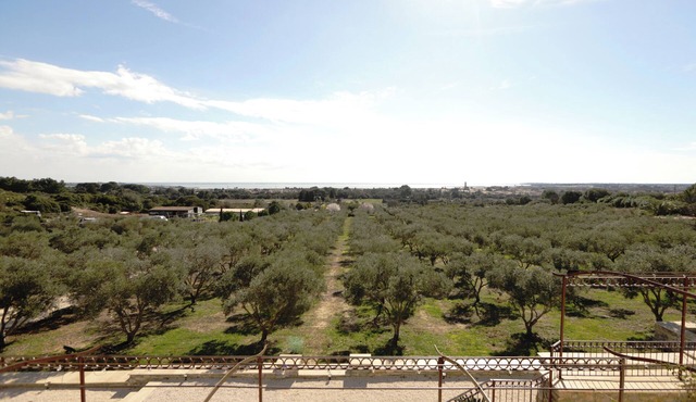 Gîte Lavande - Les Terrasses de l'Oliveraie
