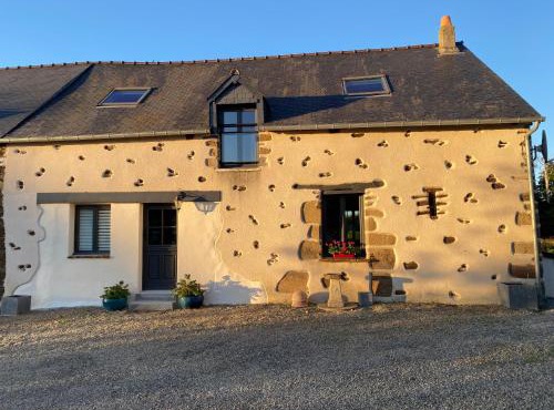 Gîte Le Chêne doré