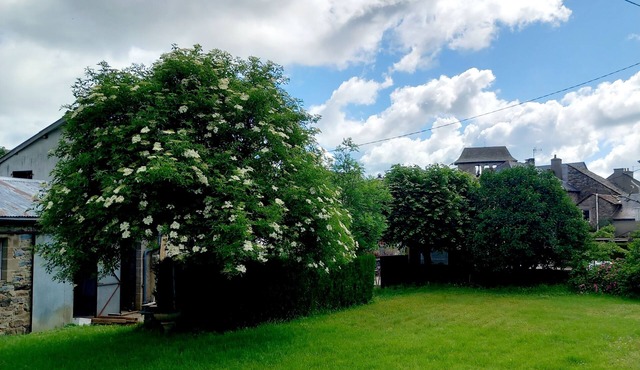 Gîte Le Lilas - Lac de Pareloup