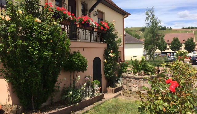 Gîte Le Mandlé in Riquewihr – 3-Star Holiday Home in the Heart of Alsace Vineyards