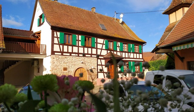 Gîte Le Nid des Hirondelles in Kogenheim/3 épis