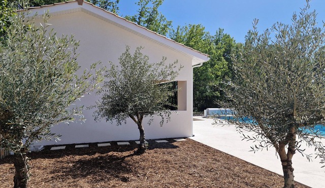 Gîte Le Pinqua