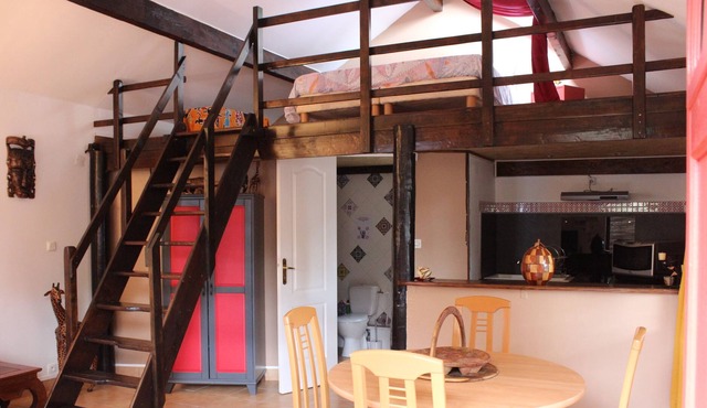 Gîte le "Safari" SPA, animals near Guedelon, St Fargeau, Toucy