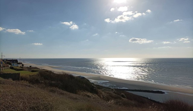 Gîte "Les ânes du Château d'Hardelot" house for 5 people in Condette