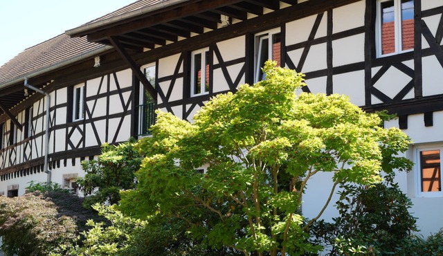 Gîte "Les Figuiers" Terrace Garden Jacuzzi