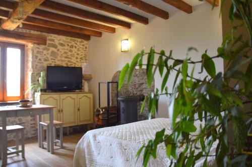 gîte les Libellules