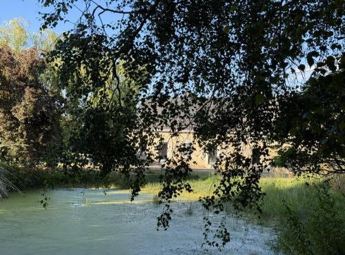 Gîte LES GRANDS ORMEAUX