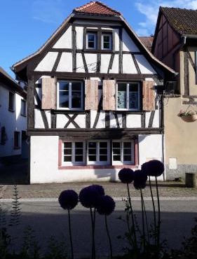 Gîte Les Hirondelles - Spacieux et Typique Alsacien - Commerces à Proximité - Proche Sélestat