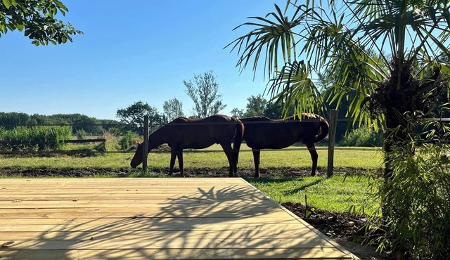 Gîte les Millères - Maison de Campagne Avec Animaux et pré Pour Chevaux