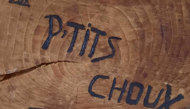 Gîte Les Petits Choux