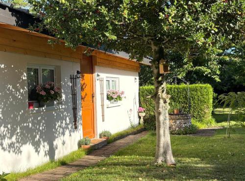 Gîte les violettes