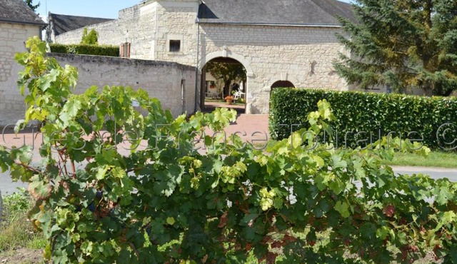 Gîte Ligré, 8 pièces, 15 personnes - FR-1-381-129