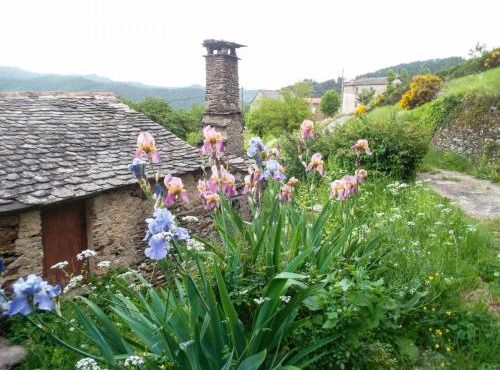 Gîte Maison Cavalier 2/4 personnes à Gabriac