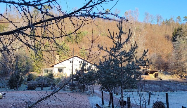 Gîte mon Chez moi Avec Ânes et Chevaux Pour Randonner en Forêt