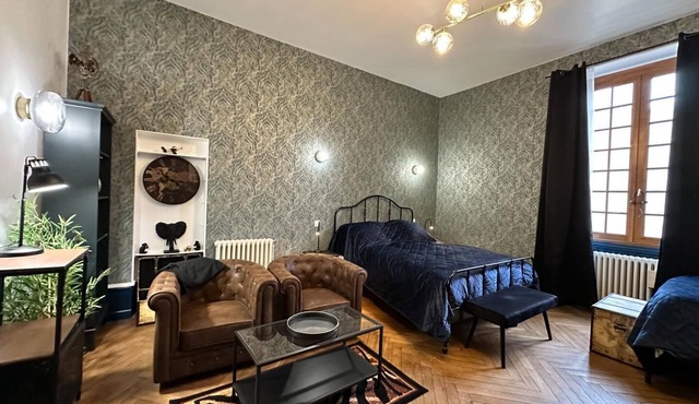 Gîte Montana 3 pers. plein center Mirepoix - Terrace, garden, barbecue