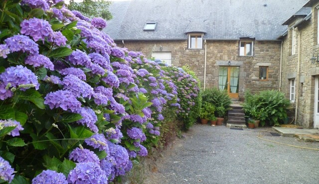 Gîte, Mt St Michel (30 '), Granville Carnival (15')