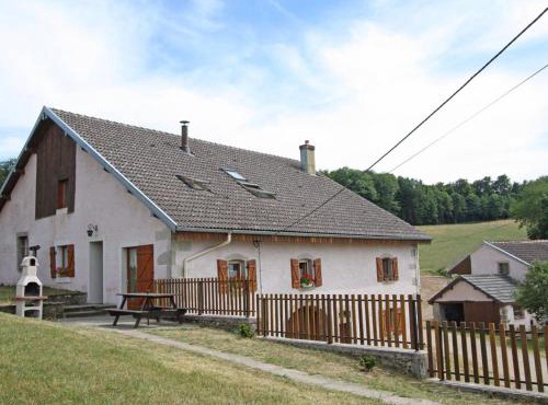 Gîte paisible à 650m d'alt., nature, cheminée, 3 ch. près de Remiremont & Plombières, terrasse, grand terrain - FR-1-589-50