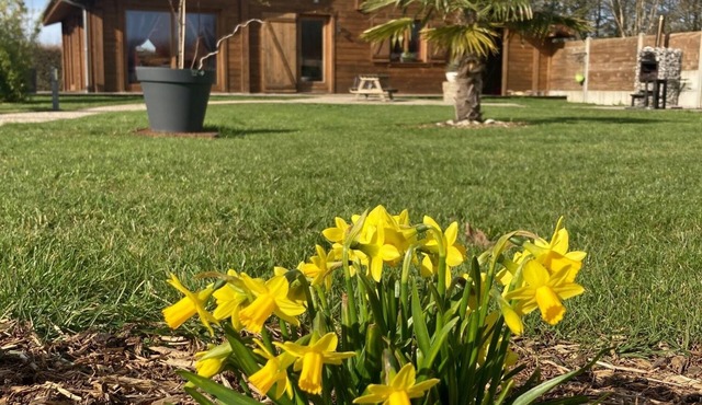 Gîte proche de la côte d’opale entouré d’animaux