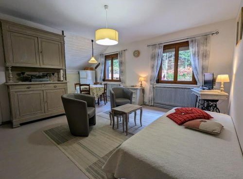 Gîte rénové avec randonnées et ski à proximité, à 6 km de Remiremont - FR-1-589-151