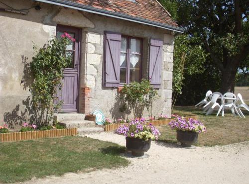 Gîte rustique avec cheminée à Saint-Lubin-en-Vergonnois, animaux acceptés - FR-1-491-388