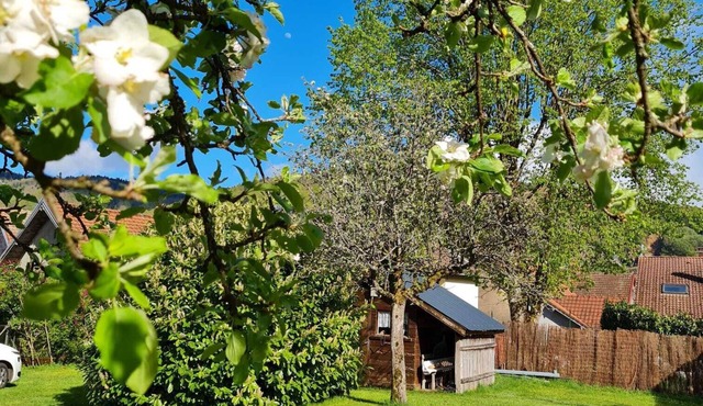 Gîte Rural Alliant L'authentique et le Modernisme. Animaux Acceptés