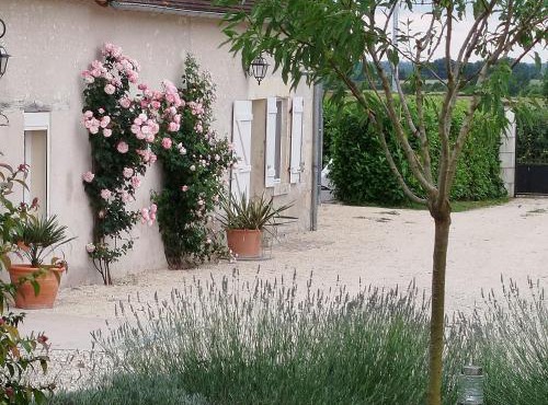Gîte Rural au Cœur du Berry avec Terrasse et Chevaux Bienvenus - FR-1-591-733