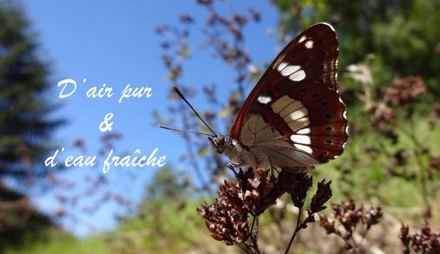 Gîte rural La Bergerie du Sant