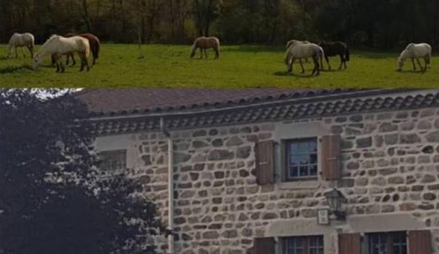 Gîte Rustique et Confortable, en Plein Cœur du Livradois Forez