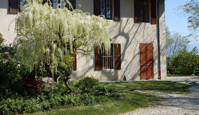 Gîte - SAINT SULPICE - Gîte