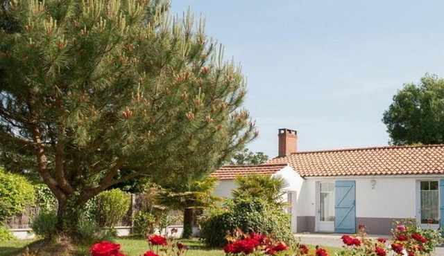 Gîte Saint-Urbain, 3 pièces, 4 personnes - FR-1-426-303