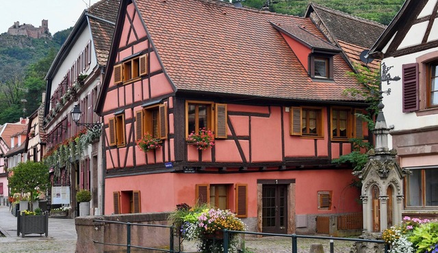 Gîte Vigne en fleur