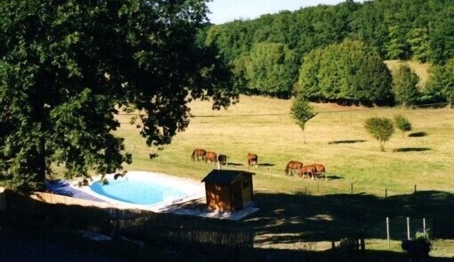 Gîte viticole Château Tourmentine 14 pers/piscine/ideal for groups and friends/campagne