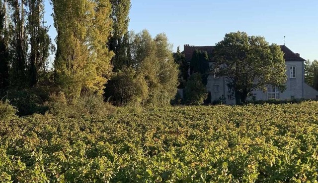 Gîtes bo Maisonnette de charme - View Clos Vougeot castle