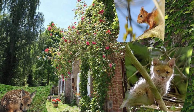 Gîtes de France® - Le Refuge