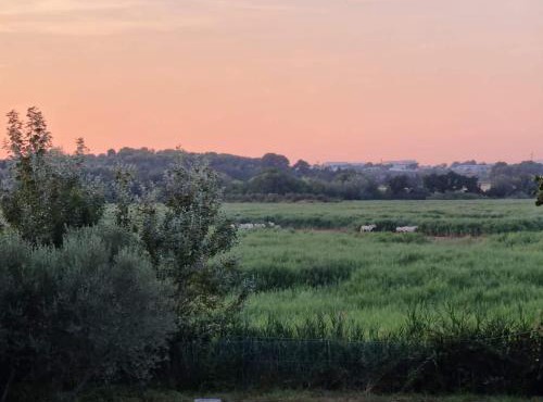 Gîtes de l'Estagnol