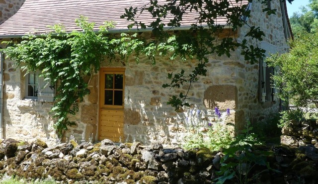 Gîtes de France® - Le Hameau du Quercy - Water flowers